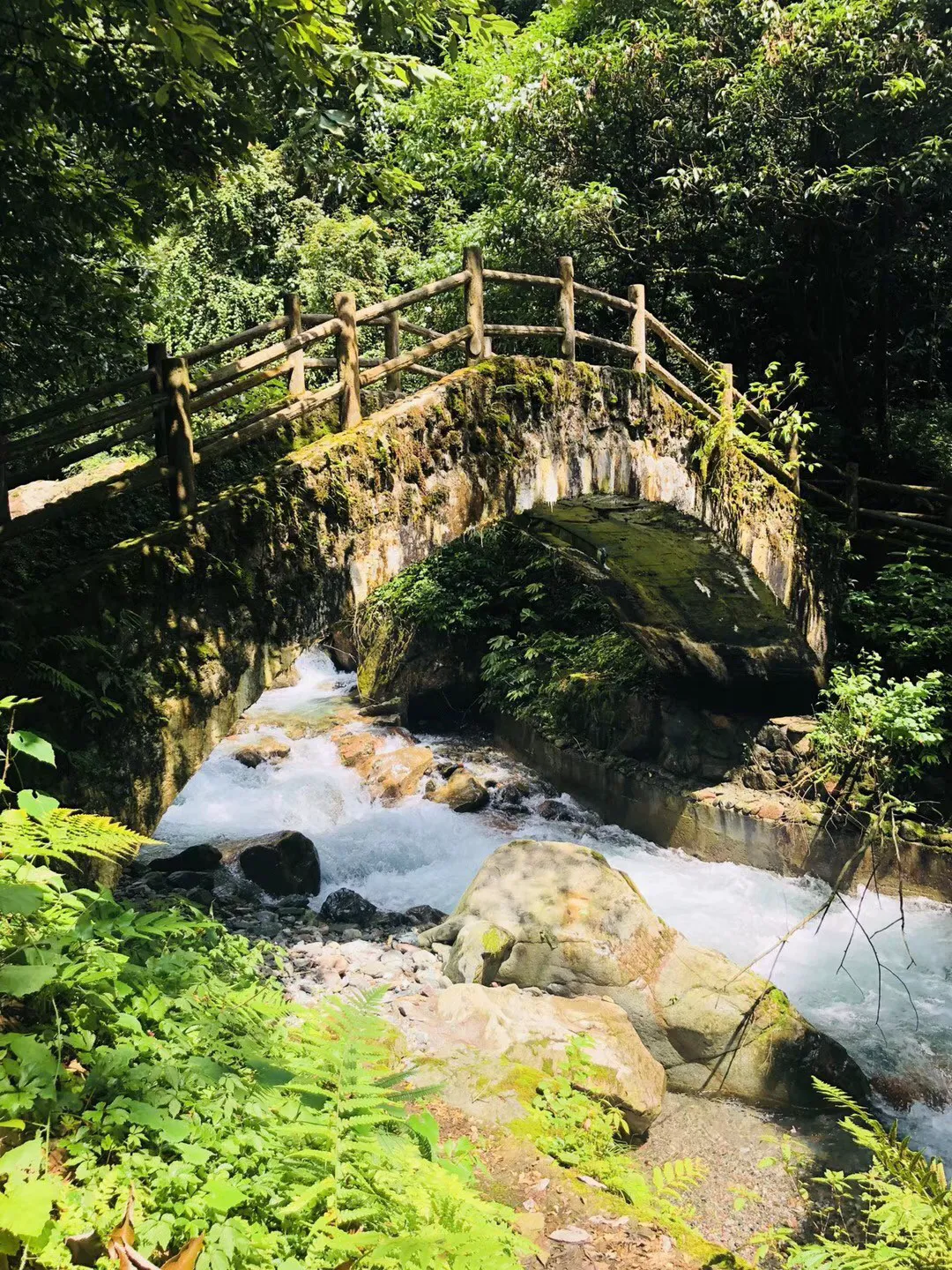 盐和避难所